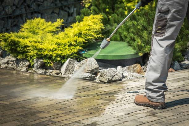 Best Winterizing Services  in Lumbine Valley, CO